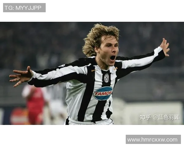 芬兰足球明星九球的传奇故事与辉煌成就探秘