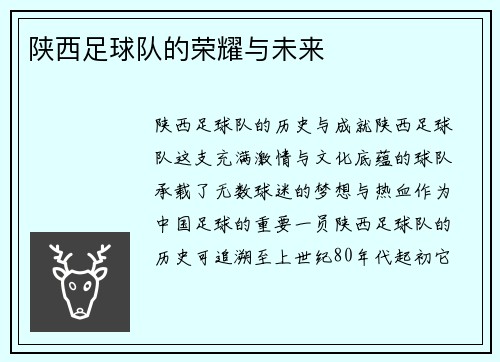 陕西足球队的荣耀与未来